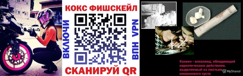КОКАИН FishScale  Купить закладки  Болохово 