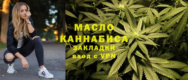 гашик Пересвет