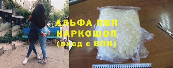 гашик Пересвет