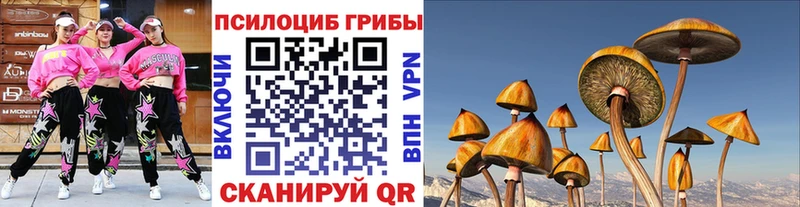 Купить где  Болохово  Псилоцибиновые грибы мухоморы 